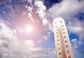 Le mercure devrait dépasser les 37 degrés mercredi 26 juin. 123RF/Thitiwat Junkasemkullanunt
