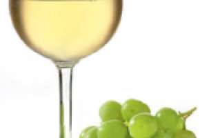 Initiation à l’œnologie