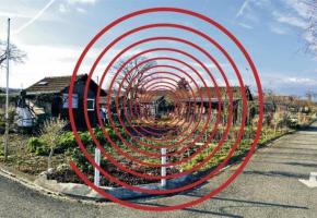 Jardins familiaux vandalisés: motion déposée