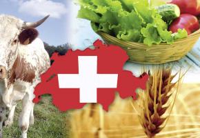 Tout un pan de l’agriculture est remis en cause. DR