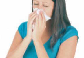 Huiles essentielles: l'arme absolue contre les acariens