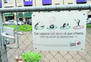 Le parc des Noirettes «souffre» comme beaucoup d'autres espaces pour chiens de propriétaires «indélicats». 