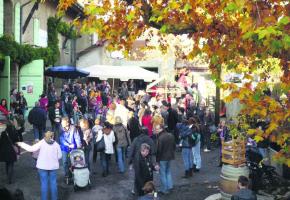 Fête de la Saint-Martin