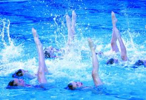 Portes ouvertes aux Vernets