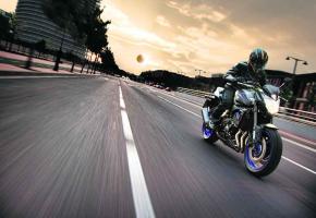 Une intermédiaire excitante