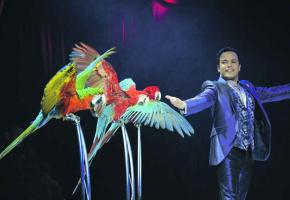 Une programmation qui allie virtuosité, esthétique et émotions. 