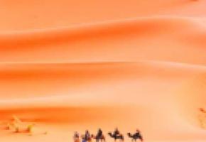 La Tunisie est l'Hôte d'honneur de cette édition.