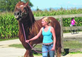 Visite du Refuge de Darwyn