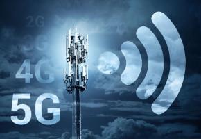 123RF/GALINA SANDALOVA