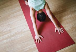 La pratique du yoga fait toujours plus d’adeptes, 