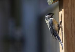 123RF/TM PHOTOGRAPHY