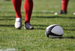 123RF/RUSLAN KOKAREV  