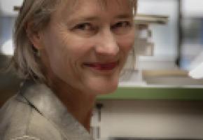 Caroline Coutau:  «On revient tous au livre, aussi parce qu’on a plus de temps.» ROMAIN GUéLAT-ZOé