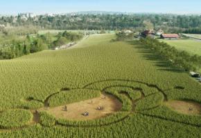 LECHAMPDESPOSSIBLES.CH