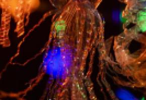 Des bancs de méduses (sculptées dans 