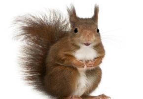 123RF/ISSELEE ERIC PHILIPPE 