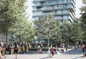 OPALE-CHENE-BOURG.CH