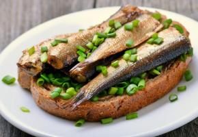 Les sardines représentent un cocktail idéal pour retarder l’apparition 