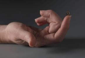 L’exposition présente des livres de toutes  tailles, souvent minuscules. DR