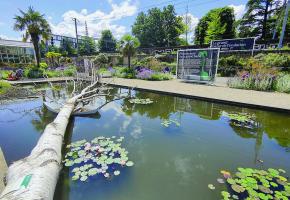 «Le grand bazar de l’évolution» est une exposition dédiée à la biodiversité. MARIE PRIEUR