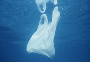 Un sac en plastique dans l’eau. Le lac en contient 