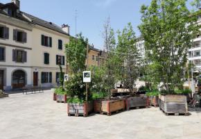 DENIS ASTIER/VILLE DE CAROUGE