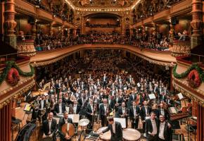 au Victoria Hall. NIELS ACKERMANN