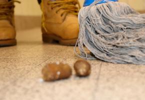 Les locataires laissent parfois leurs animaux déféquer dans les allées sans ramasser. MK