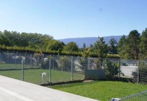 Rénové en 2010, le refuge de Vailly comprend des parcs où les chiens peuvent s’ébattre à loisirs. DR Rénové en 2010, le refuge de Vailly comprend des parcs où les chiens peuvent s’ébattre à loisirs. DR