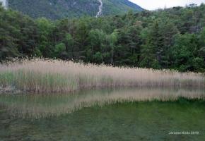 Cinq jours à la découverte du patrimoine naturel. JéRôME KLOTZ