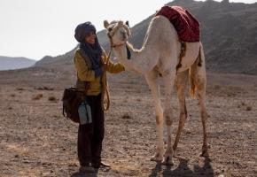 Un lien très fort unit le jeune Zodi et son petit dromadaire. SIFE-ELAMINE
