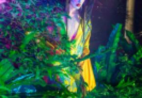 L’exposition d’envergure célèbre la métamorphose du monde. IVY TZAI