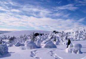 Les randonnées en raquettes, dans ces paysages immaculés, permettent d’être au plus près d’un environnement exceptionnel. PHOTOS DR