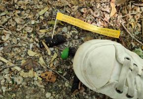 Une habitante de la Ville de Genève pose des petits messages, espérant sensibiliser  propriétaires de chiens indélicats. MP