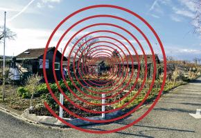 Les Jardins familiaux de Montfleury à Vernier sont les plus ciblés par les cambrioleurs.  DAVID ROSEMBAUM-KATZMAN 