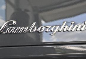 DAVID ROSENBAUM-KATZMAN Le vol de logos de voiture de luxe ou de sport est très répandu en Europe.  