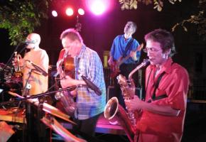 Le Fanfare du Loup Orchestra. DR 