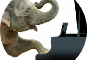 Plus qu’un concert… une féerie animalière. DR 