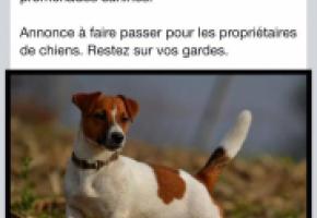 Publiée sur Facebook, l’annonce a été partagée près de 600 fois. DR 