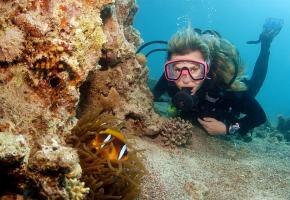 Face à face imprévu avec un sympathique Nemo. Les fonds de la Mer Rouge sont connus pour leurs couleurs. Rencontre impressionnante aux Maldives. 