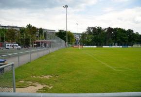 Les pelouses du stade de Balexert sont dans un piteux état. STéPHANE CHOLLET 