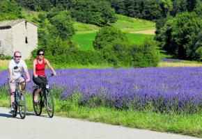 La Drôme à vélo se décline couleur lavande. LIONEL PASCALE Sur les berges du Rhône à Lyon. RA TOURISME M. ROUGY Entre Vienne et Condrieu. RA TOURISME M. ROUGY Assistance électrique pour gravir la colline de l’Hermitage. ALAIN BOSSU 