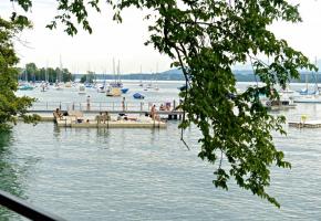 Le seul havre de paix canin du canton au bord du lac a disparu. DAVID ROSEMBAUM-KATZMAN 