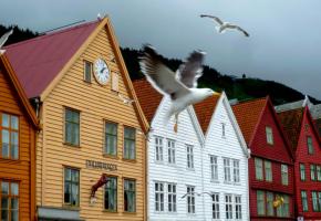 La lumière du Nord enchante les photographes. Les paysages traversés invitent à la contemplation. Chaque étape (ici Alesund) est prétexte à la découverte. L’étrange expérience du soleil de minuit. 