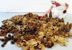 «Living Landscape» (paysage vivant) est un projet imaginé par Charlotte Nordin. DR 