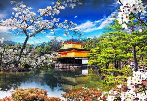 La carte postale du Japon avec le Fujisan (Mont Fuji), le lac Kawaguchi et les cerisiers en fleurs. HISTOIRE & VOYAGES Le Japon en fleurs au printemps. HISTOIRE & VOYAGES Des maikos (apprenties geisha) à Kyoto. HISTOIRE & VOYAGES Le Pavillon d’Or de Kyoto et un mariage traditionnel nippon à Tokyo. HISTOIRE & VOYAGES 