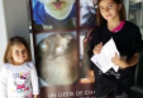 Une action de solidarité pour aider les animaux dans des refuges, qui remporte un grand succès depuis trois ans. DR 