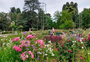 Désormais, les rosiers côtoient de nombreuses autres variétés florales. TR