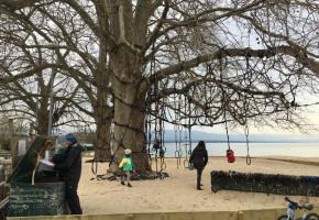 Trop près du lac, le site de Cheetah Baby-Plage doit être constamment remblayé. FLORENCE  GIROUX 