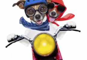 Deux jours de folie pour tester tous les deux-roues motorisés. ISTOCK/DAMEDEESO 